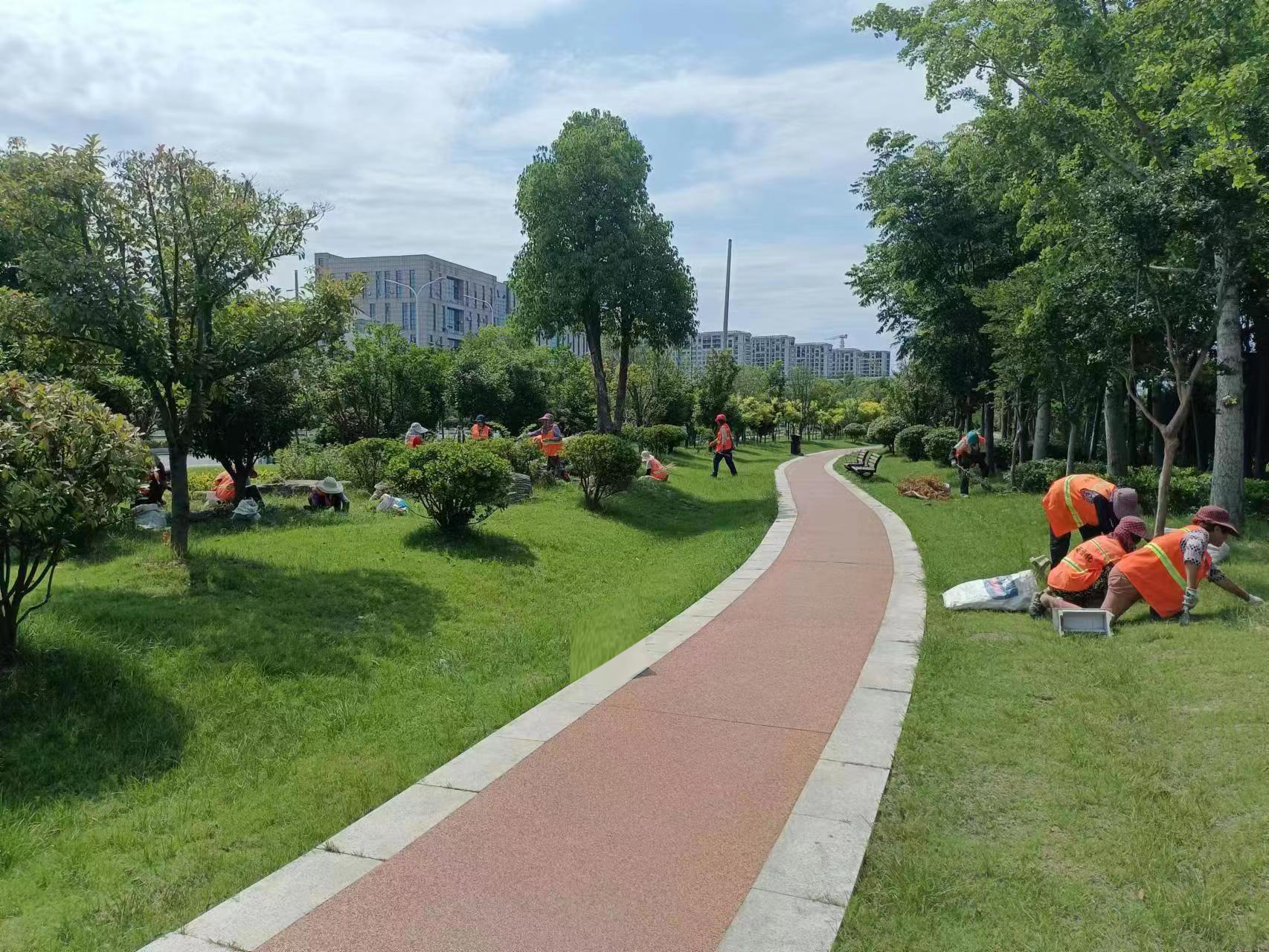 大桥公园除草.jpg 大桥公园除草.jpg